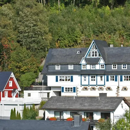 Fewo Am Iberg 20, Inkl Parkplatz Daire Willingen (Upland)